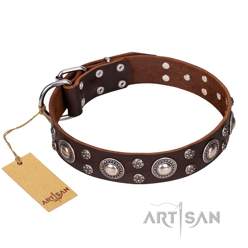 FDT Artisan - Collare in cuoio marrone "Age of Beauty" per cane - Clicca l'immagine per chiudere